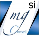 logo Mgsi Conseil