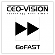 LOGO CEO-VISION
