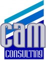 logo Cam Consulting