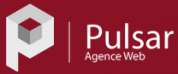 logo Pulsar Informatique