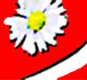 logo Lapacherie Gerald