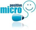 logo Positive Micro