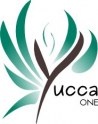 logo Yucca One