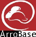 logo Arrobase