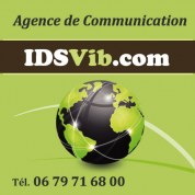 logo Agence De Communication Idsvib
