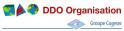 LOGO DDO ORGANISATION